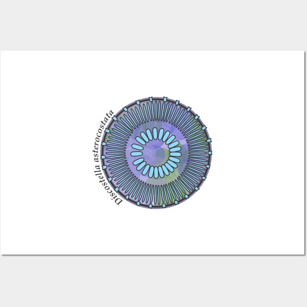 Diatom - Discostella asterocostata (scientific) Wall Art by DiatomsATTACK